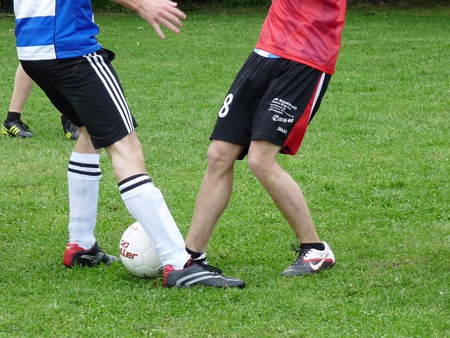 法國足球甲 法國足球甲